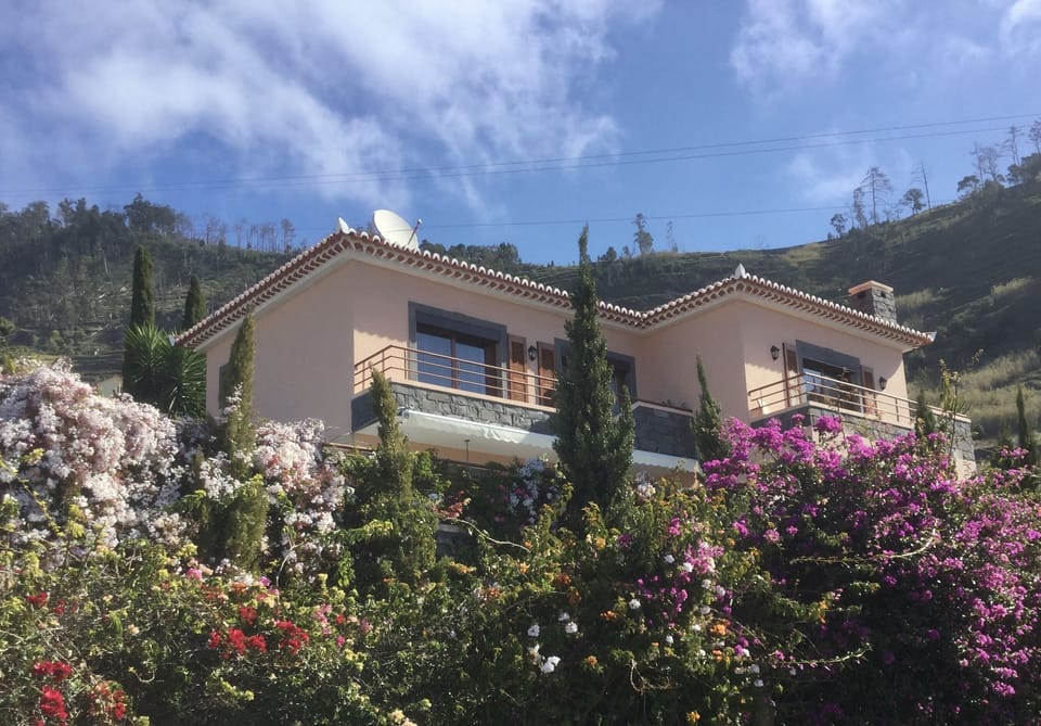 Casa das Flores - The house of flowers