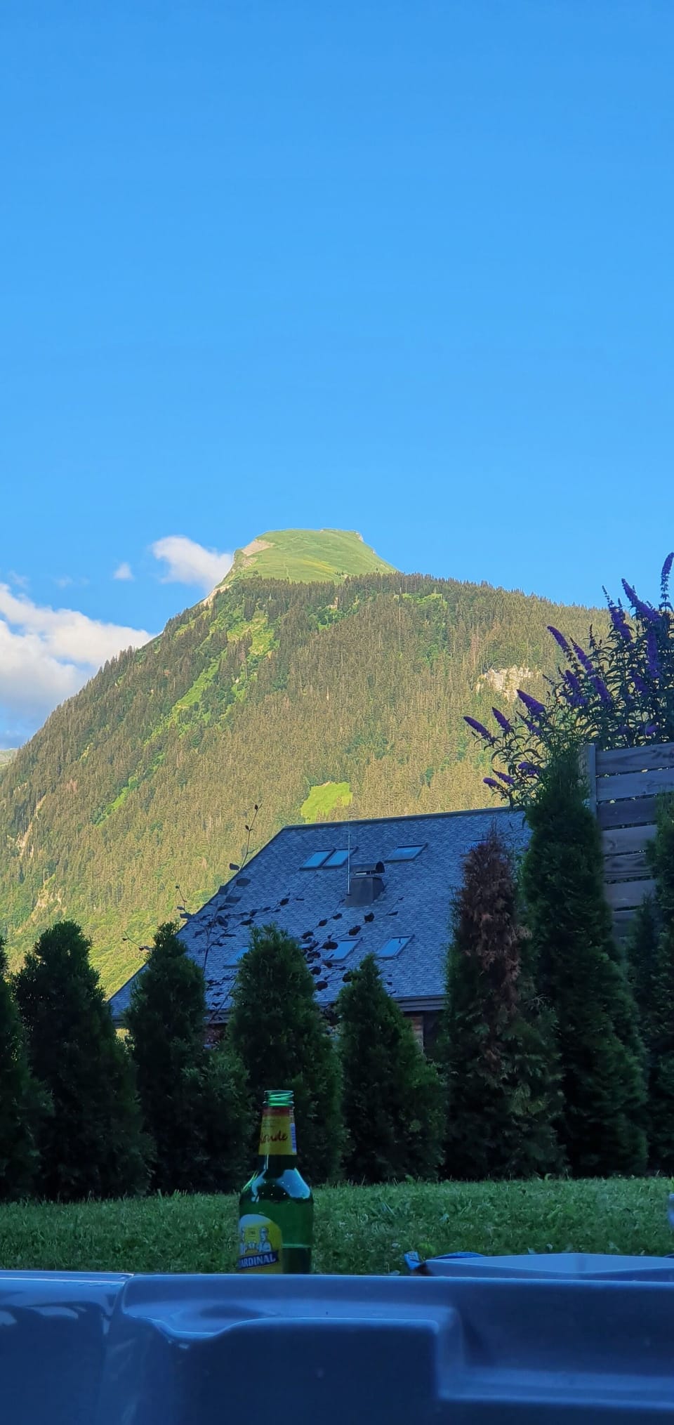View from property
