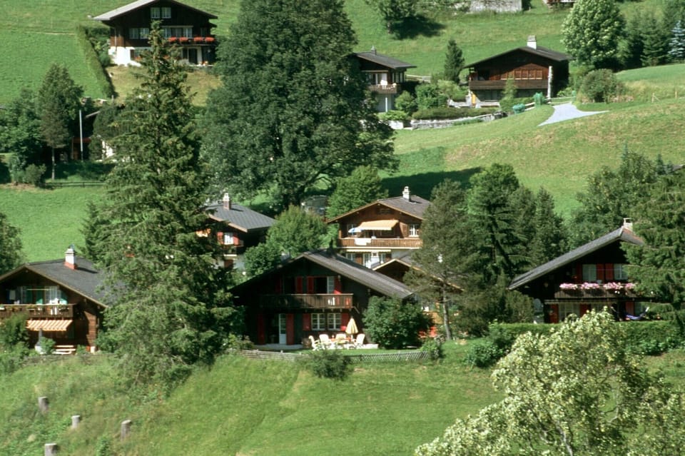 Your Chalet surrounded by nature