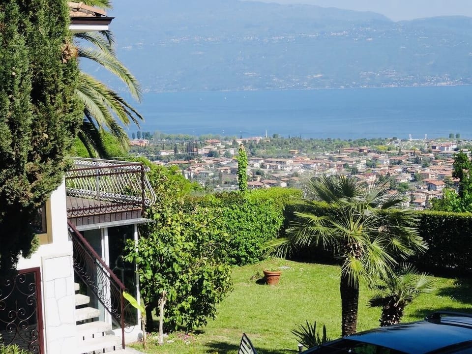 Lake view 