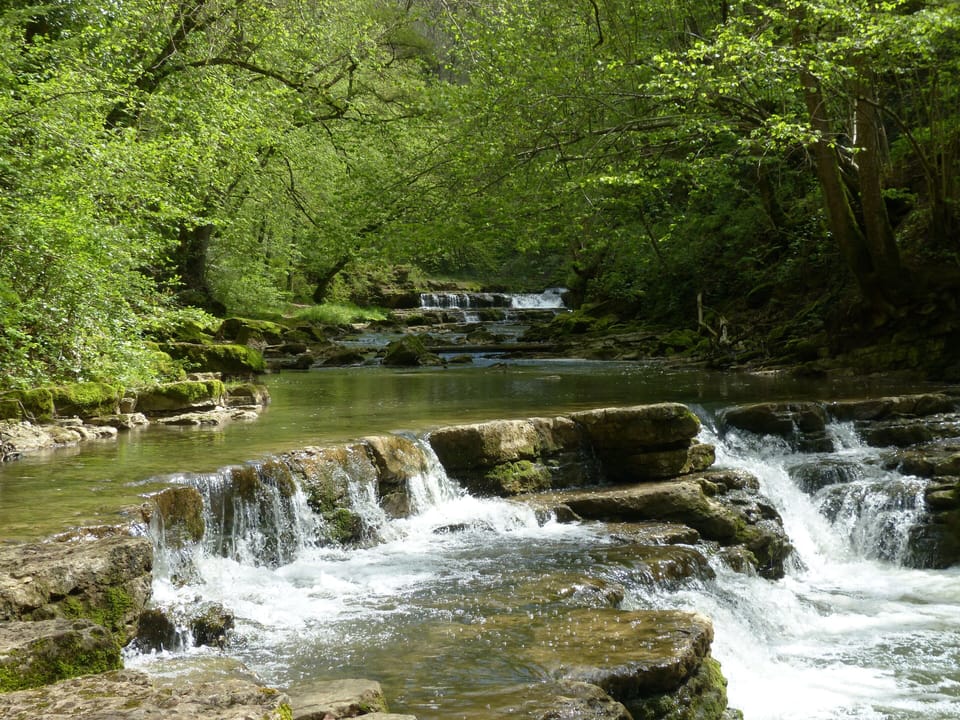 in a gully (Schlichenklamm)
near Epfendorf