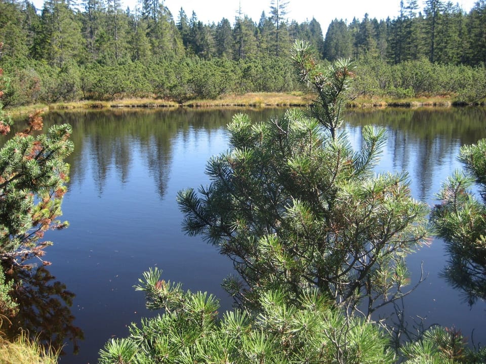 Lake