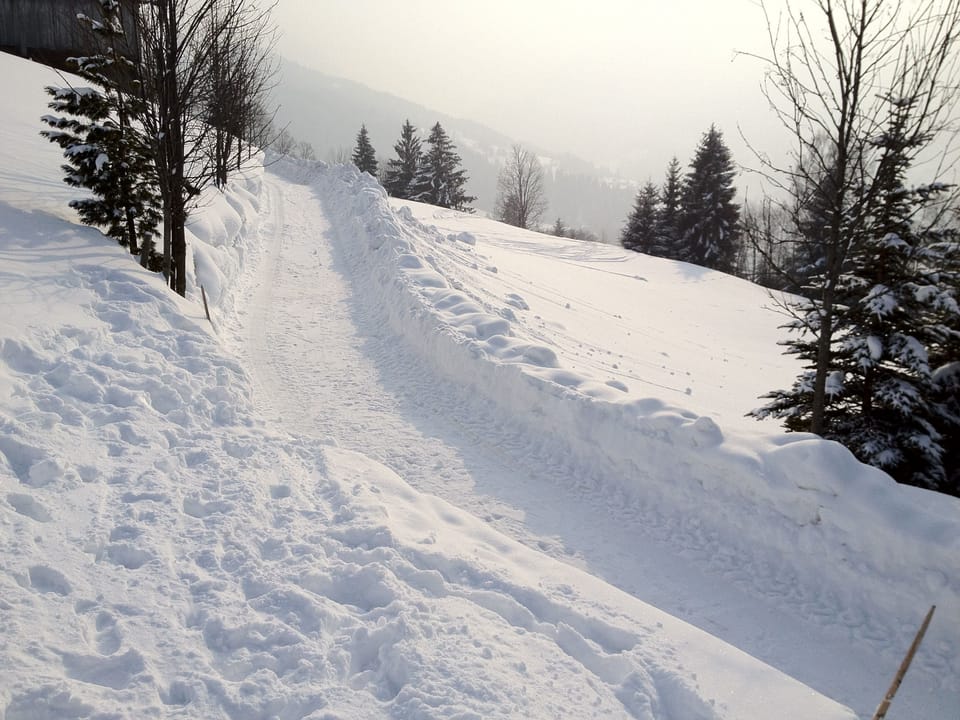 Snow and ski sports