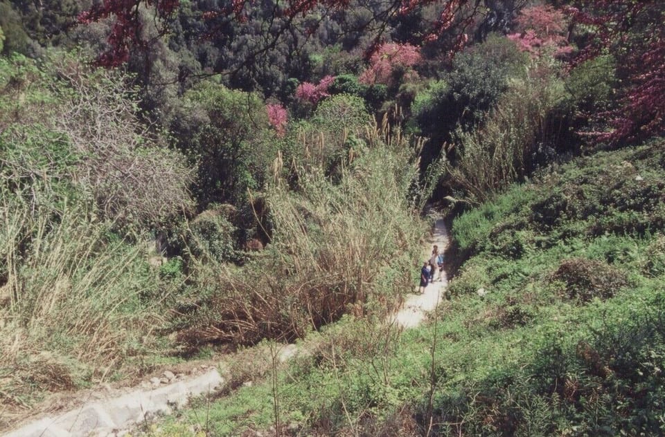 The path to the beach and to our house