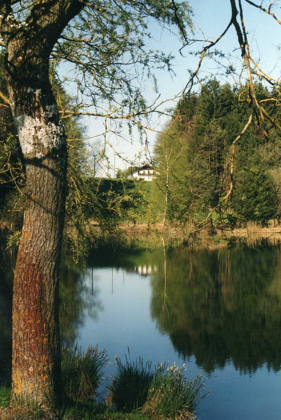 Lake