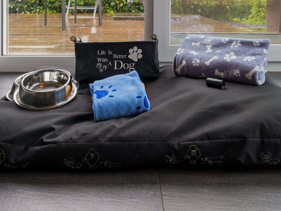 Equipment for the dog