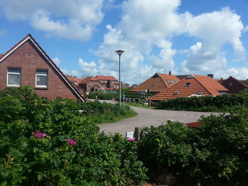 View of the town from the garden