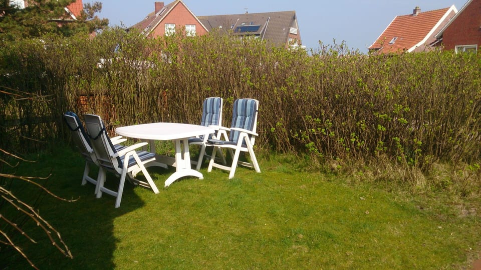 The garden in spring