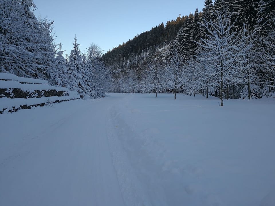 Snow and ski sports