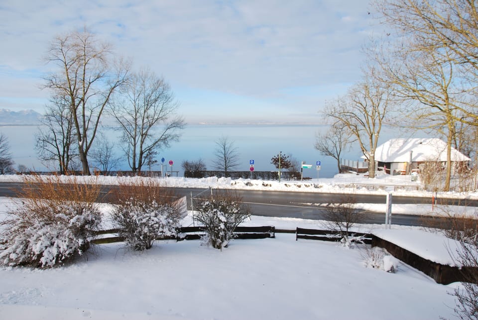 A winter view from the ling room panoramic window.