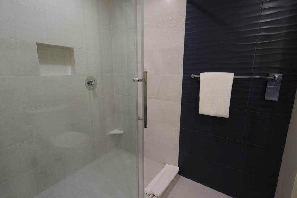 Shower, eco-friendly toiletries, hair dryer, towels