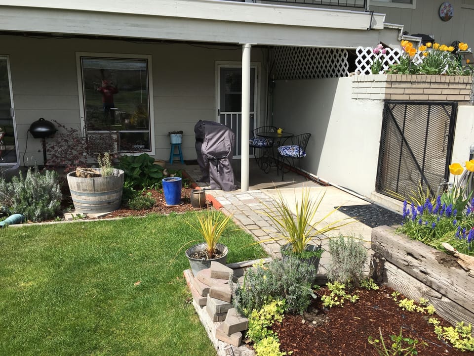 view from lower yard