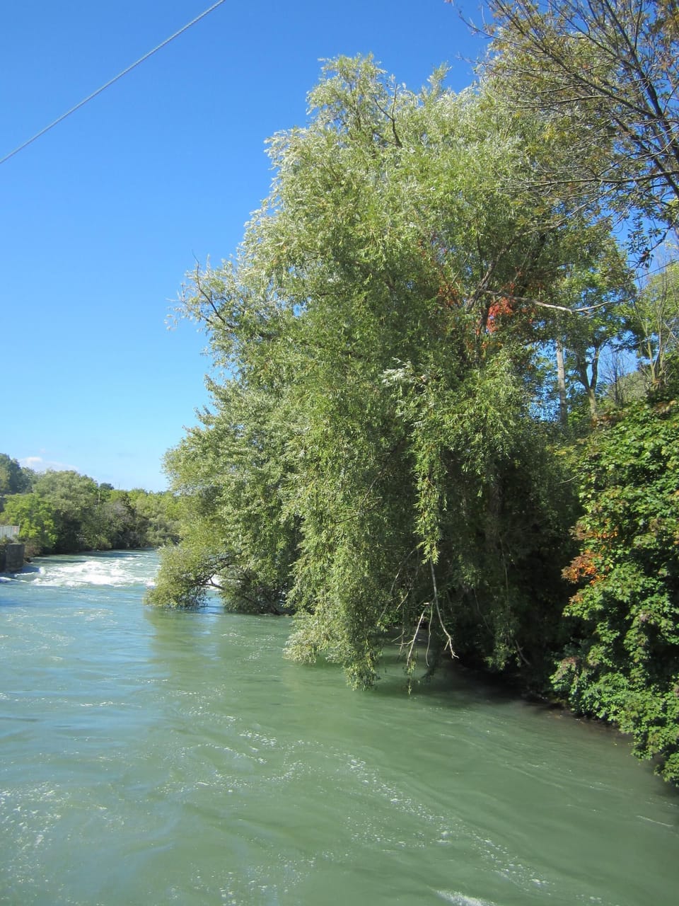 Twelve Mile Creek (River)