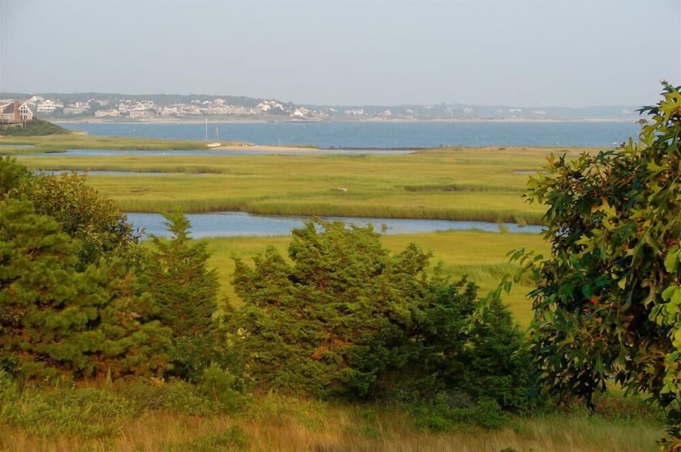 Forest Beach & Mill Creek Overlook 150 yards from house