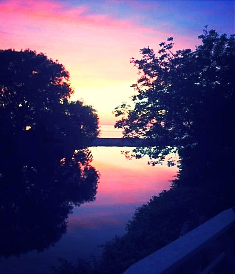 View towards lake from back deck 