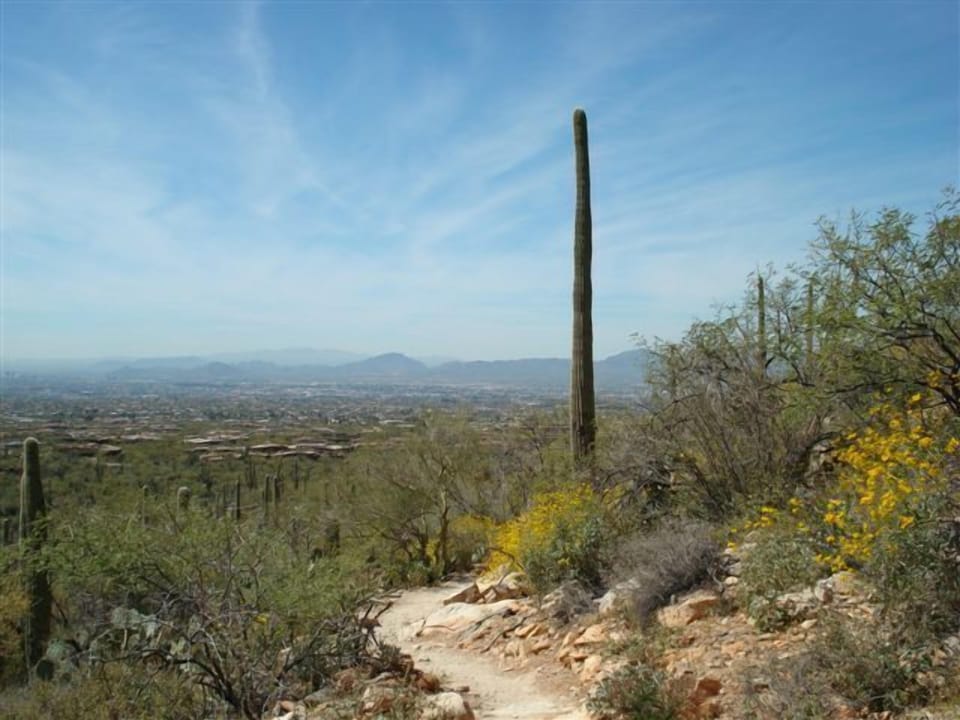 Taken from the Pima Canyon hiking trail about 3 miles from the house