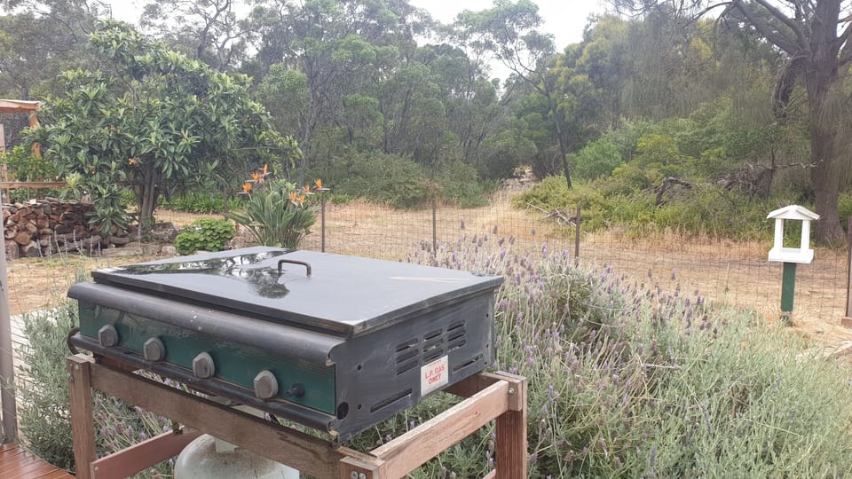 BBQ