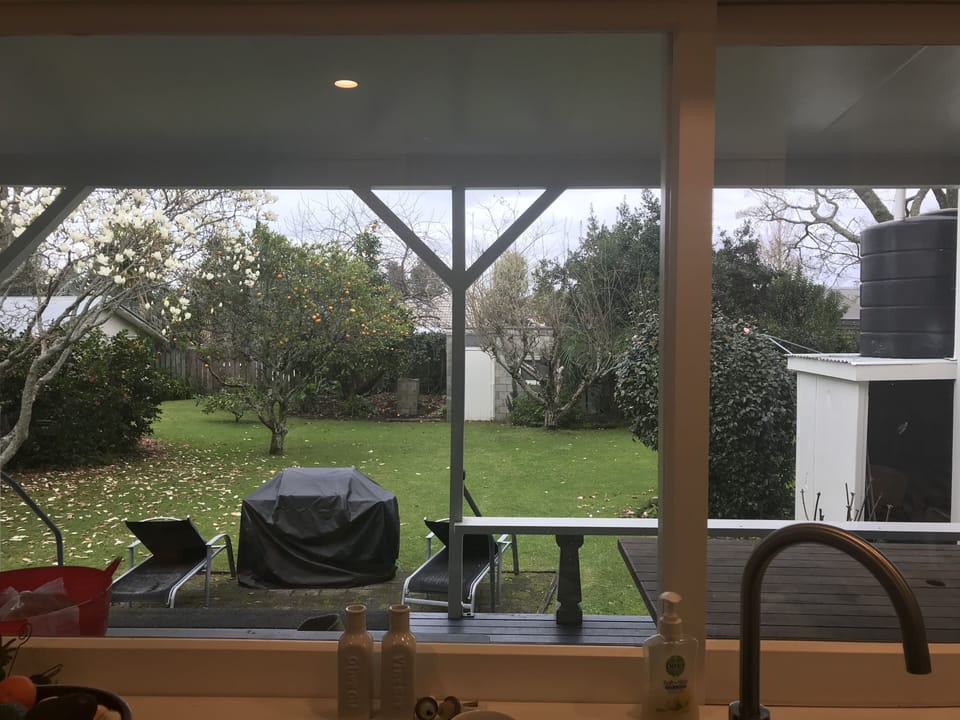 Backyard. Fully fenced.