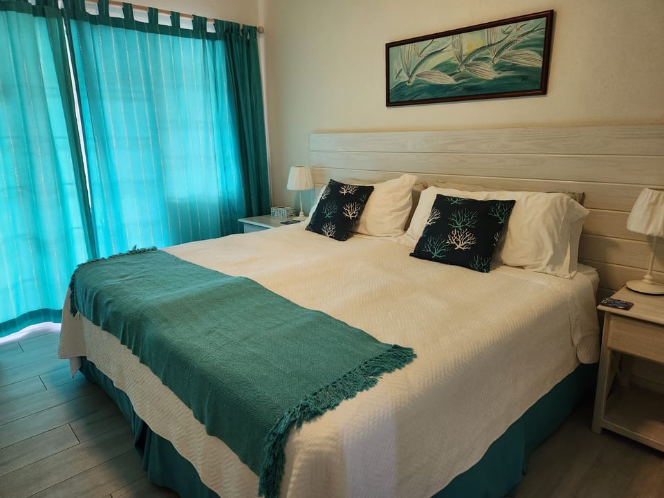 Second bedroom setup with king size bed