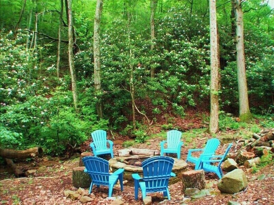 Fire pit next to the streams (firewood is not included)
