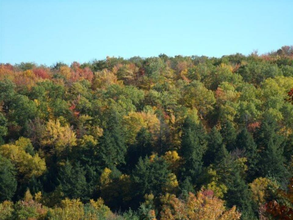 fall scene from cabin
