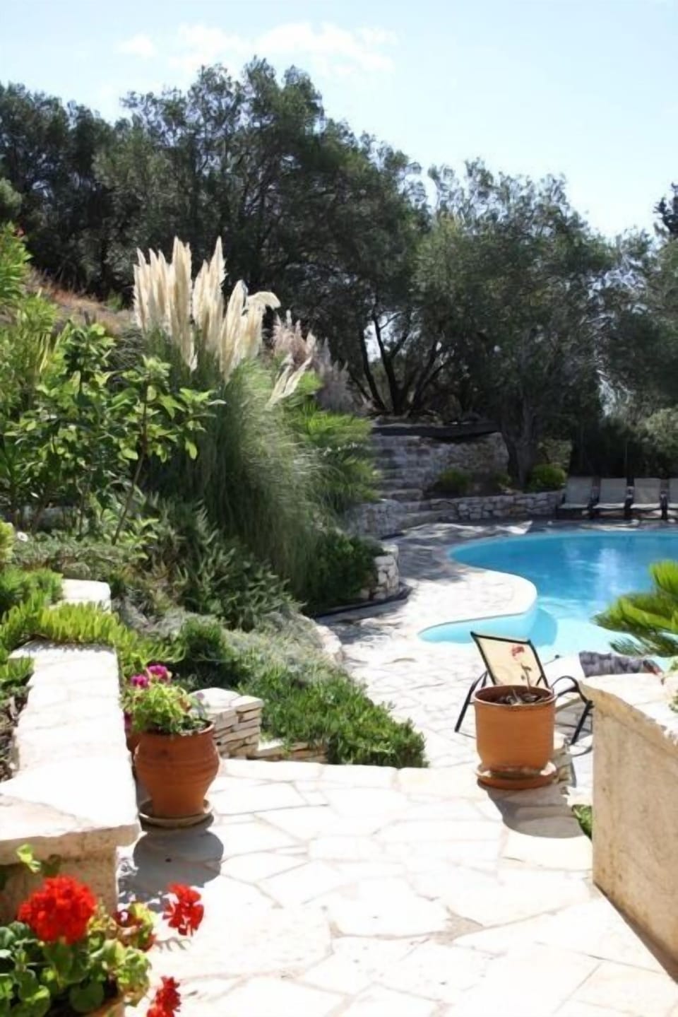 Pool and gardens from the kitchen terrace