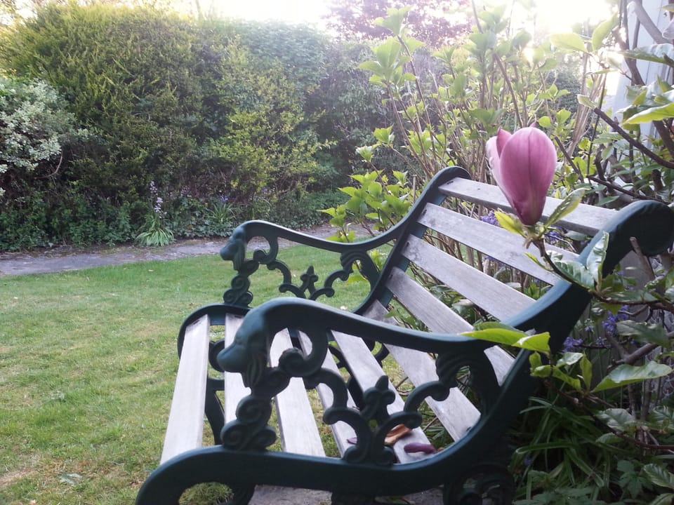 South facing garden