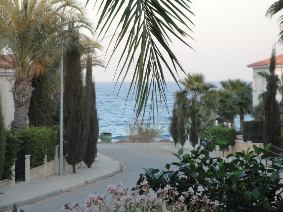 Evening sea view from the villa