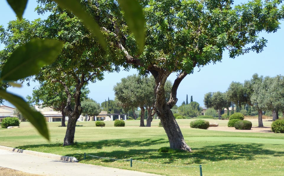View across 1st Tee