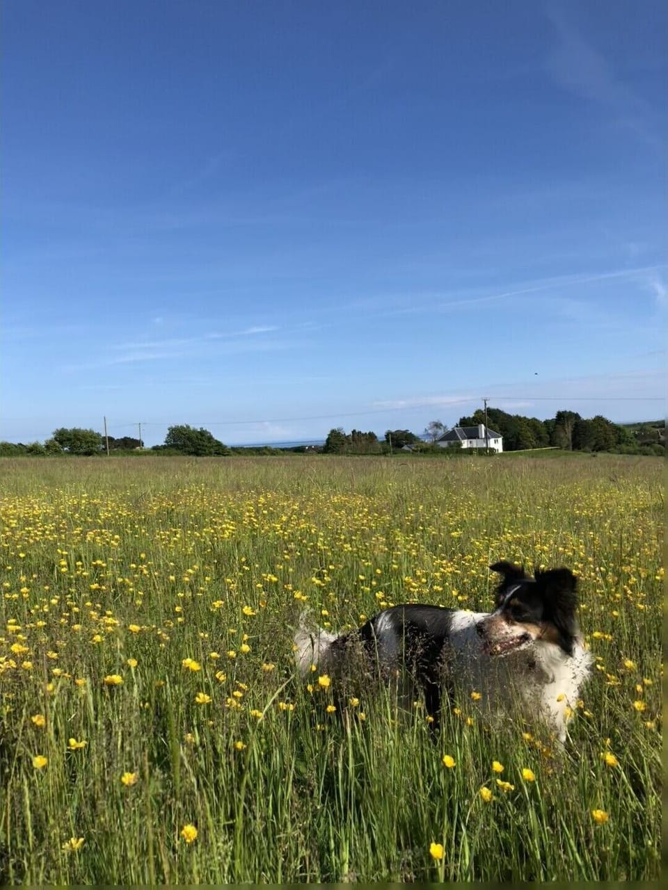 Explore the countryside in our meadow and enjoy sea views. 