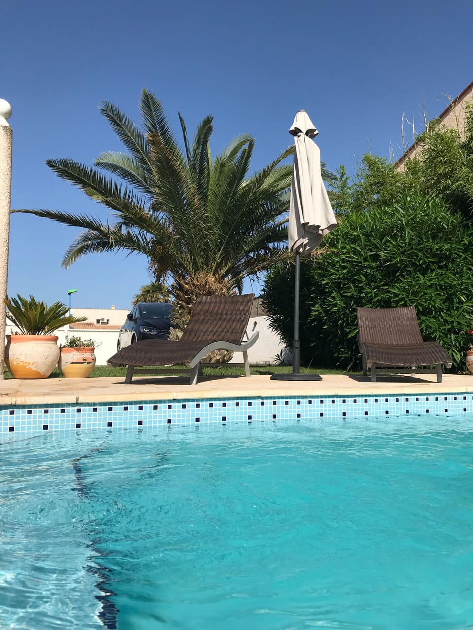 Cool down in pool