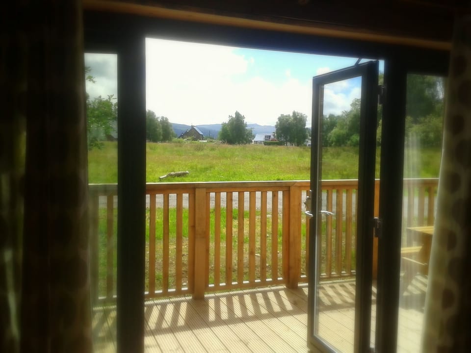 View from living area
