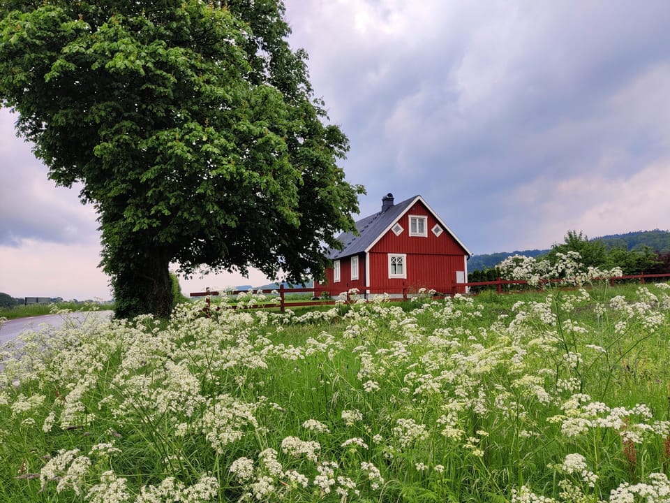 Swedish red cottage 

