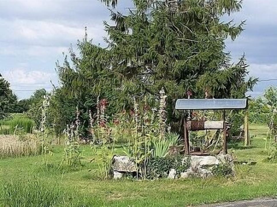Le Puits (The Well)