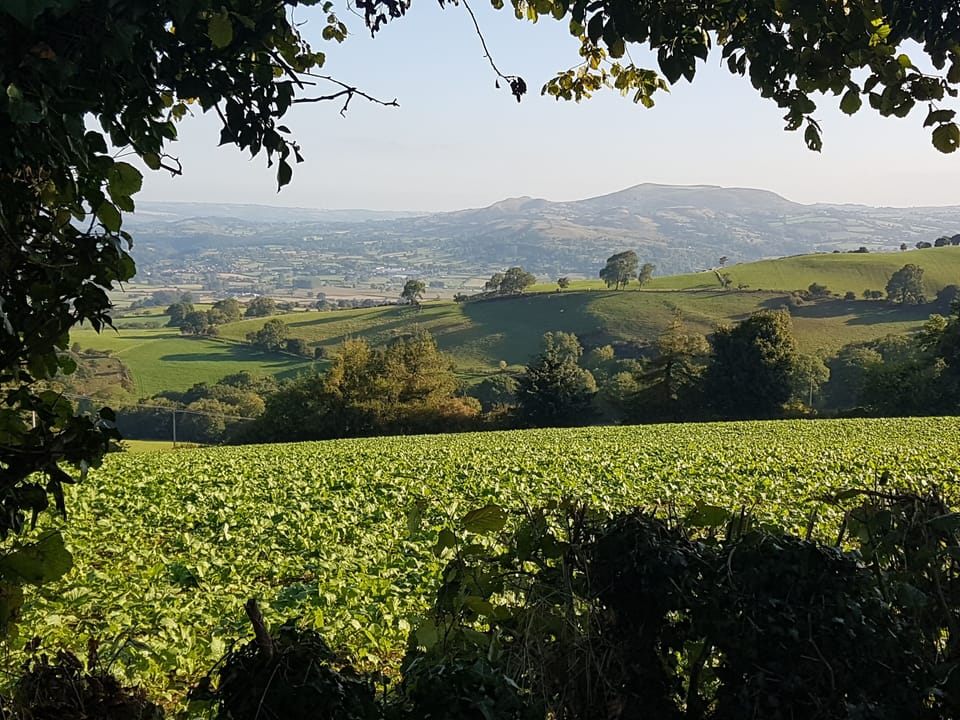 View from our garden and summerhouse showing Corndon Hill