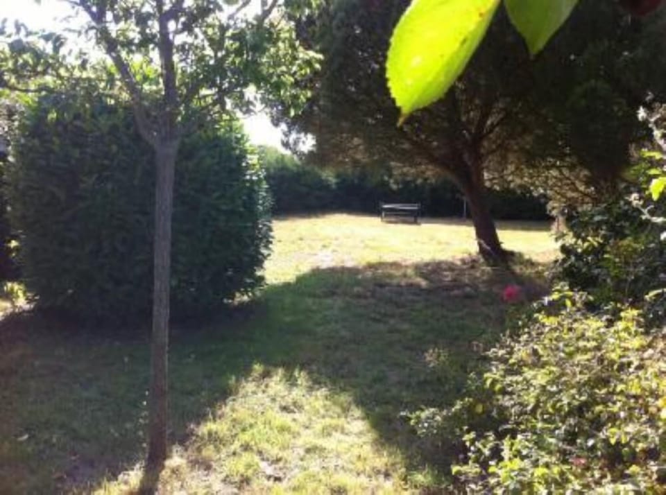 Garden, Park