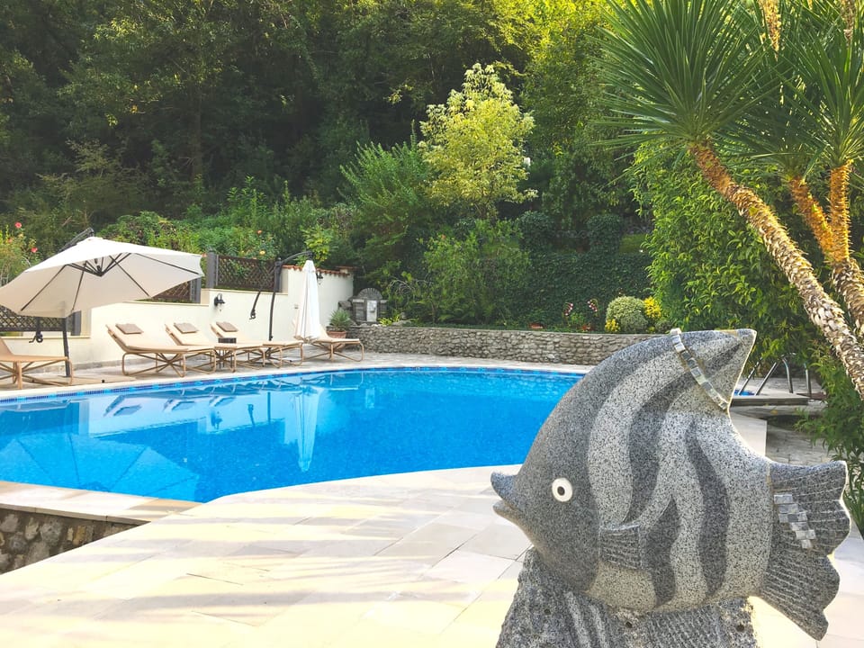 Pool deck area with 5 loungers surrounded by tropical vegetation