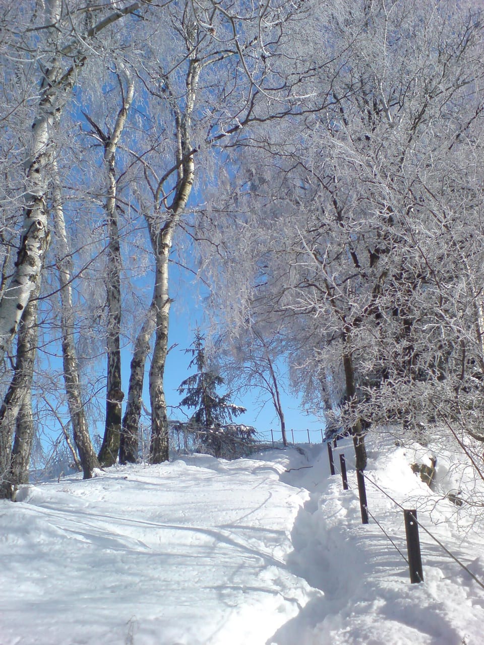 Snow and ski sports