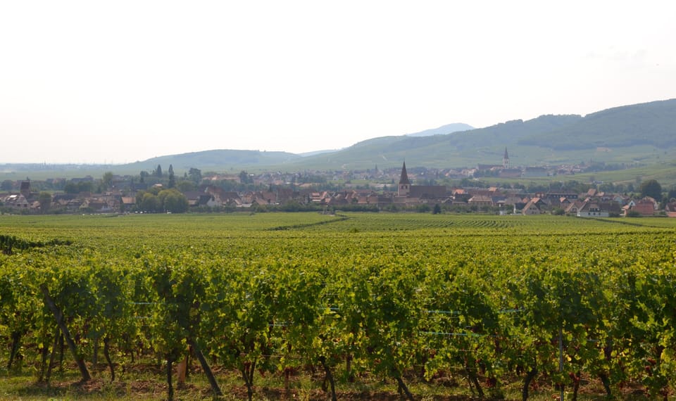 KIENTZHEIM