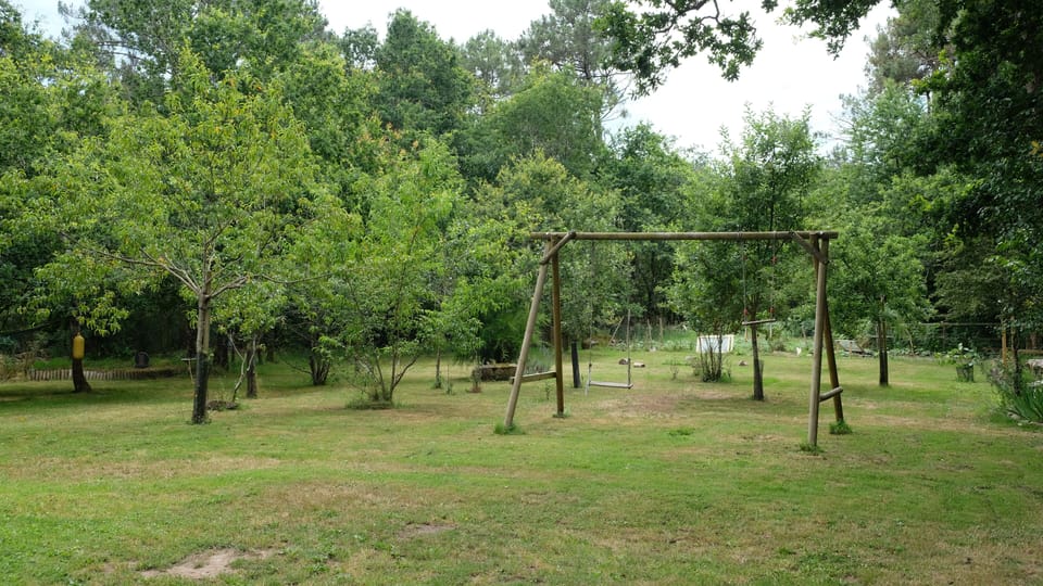 Children's area