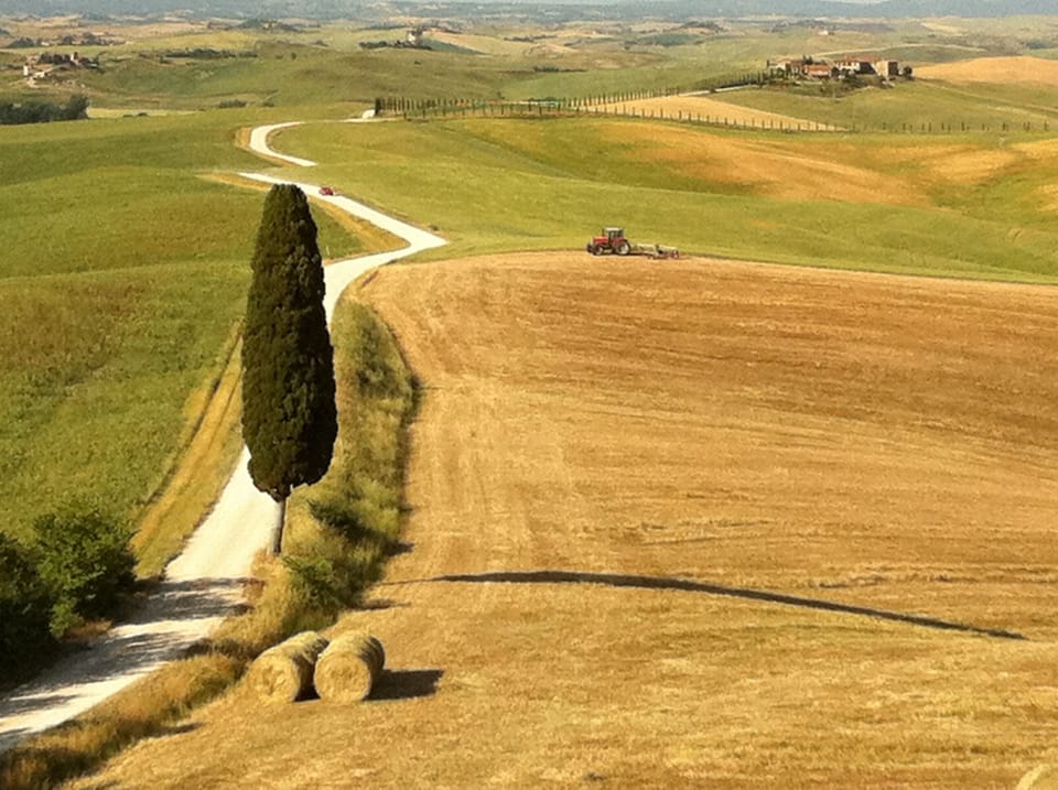 Landscape in the surrounding area