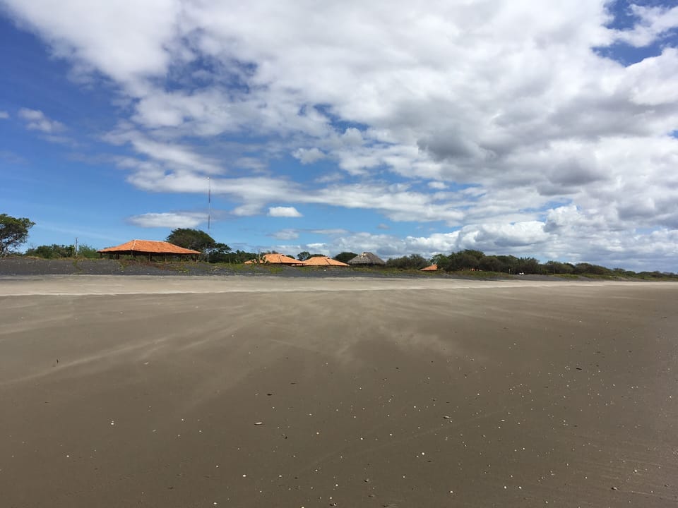 Beach looking back to the houses