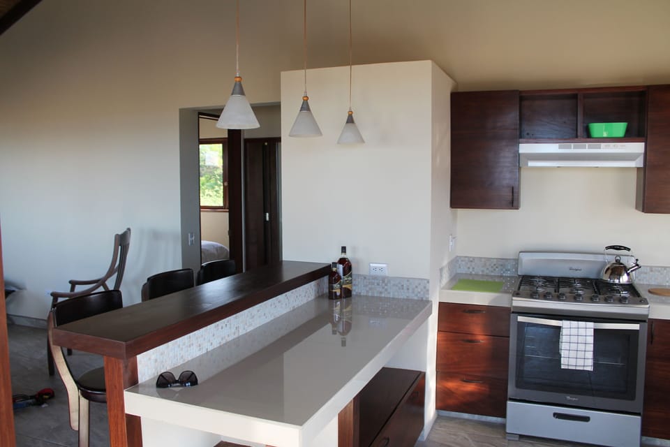 Bar Eating Area and Kitchen of Tes #35