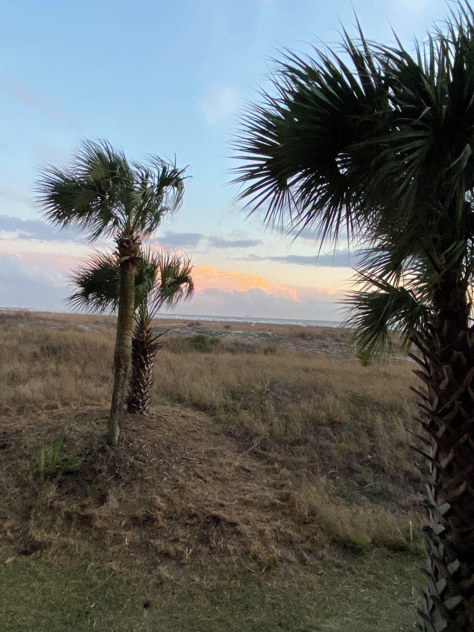 Another beachfront view.