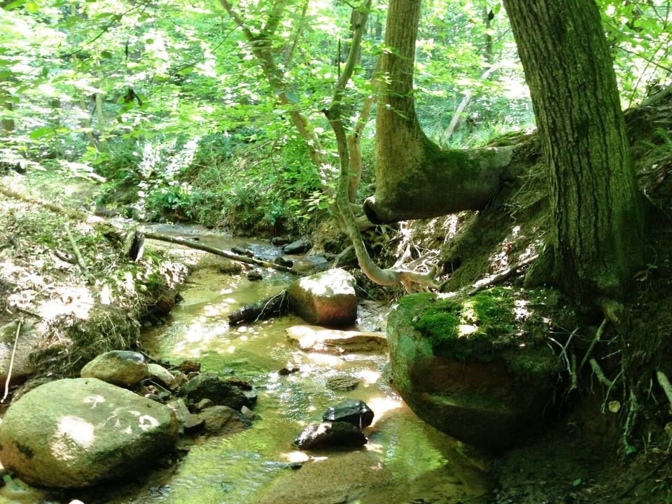 Stream