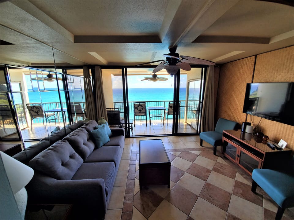 The back yard is very blue in color.