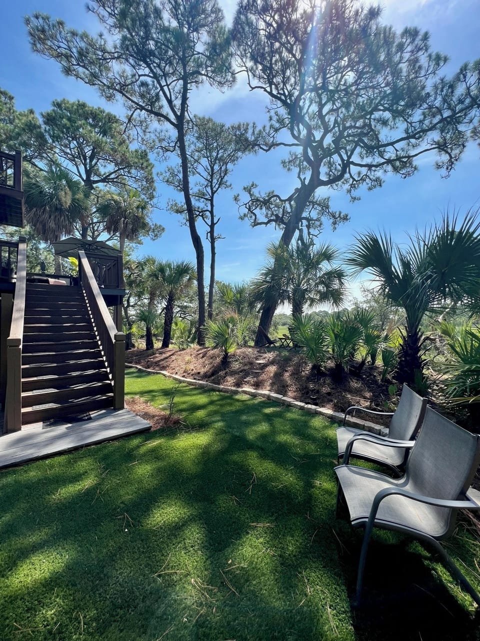 Backyard on the marsh