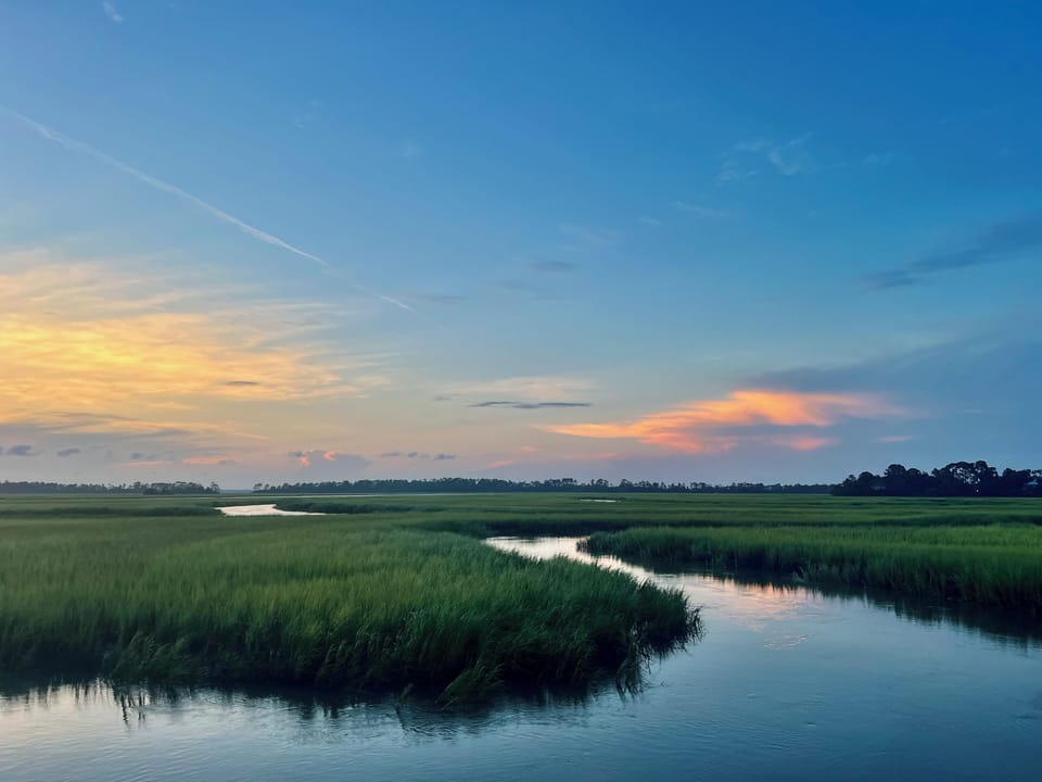 Marsh views from the boardwalk steps from the house.