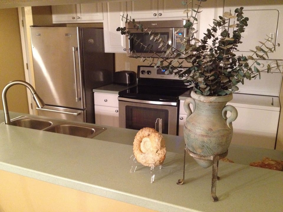 Stainless kitchen appliances 