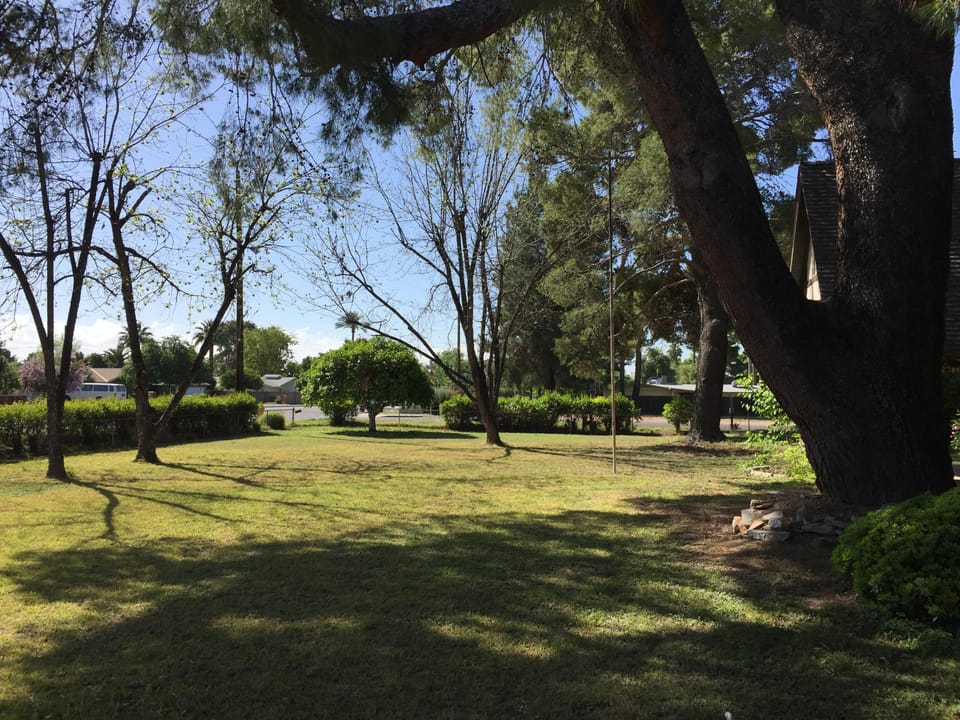 Peaceful setting surrounded by mature trees